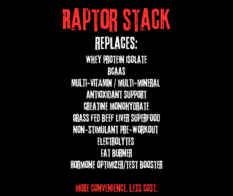 LEVEL 3: RAPTOR STACK