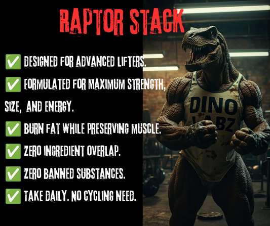 LEVEL 3: RAPTOR STACK