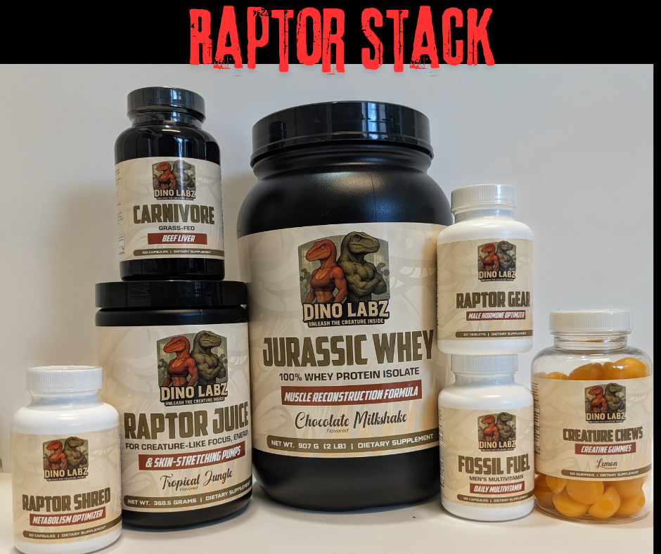 LEVEL 3: RAPTOR STACK